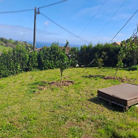 Casa Pyrrhula Murina - Private Jacuzzi Nordeste  Eksteriør billede
